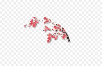 Flower Pattern - Plum flower 