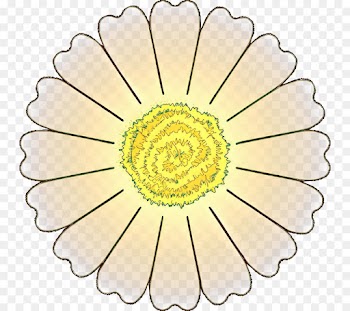 Flower, Petal, Common Daisy, Yellow, Chamomile PNG