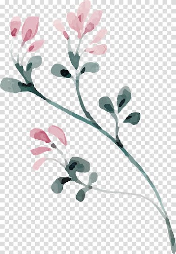 Flower Petal Floral design Wreath, flower transparent background PNG clipart
