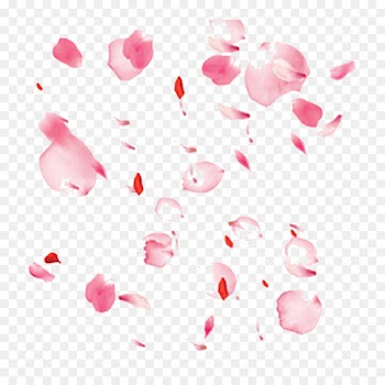Flower Petal - Peach petals 