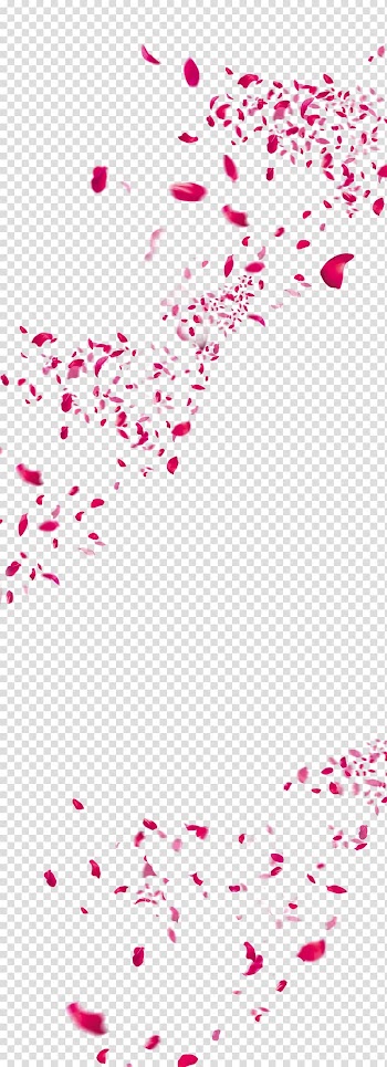 Flower Petal, Peach petals,festival,Flowers,Fall decoration,Pink Creative,Petals wedding,Rose Petals, red flower petals illustration transparent background PNG clipart