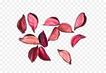 Flower Petal Rose - scented tea 