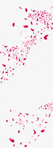 Flower Petal - Scattered flower petals 