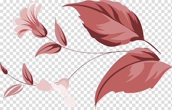 Flower Petal, Simple coffee flower transparent background PNG clipart
