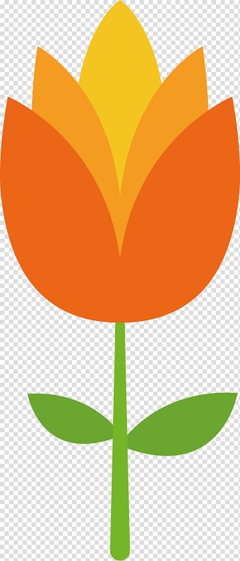 Flower Petal Tulip , Tulip flower material transparent background PNG clipart