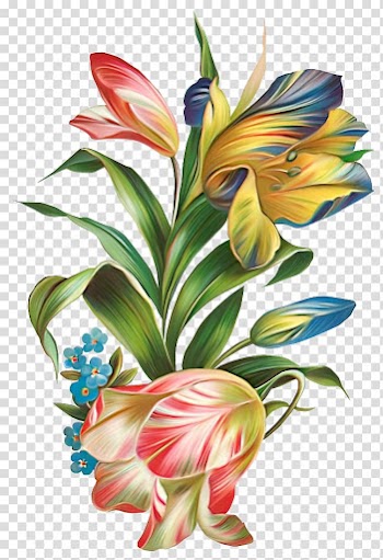 Flower Petal , water flower transparent background PNG clipart