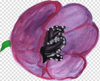 Flower Petal Watercolor painting Pseudanthium, watercolor flower transparent background PNG clipart