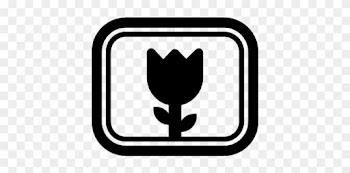 Flower Photo Camera Option Symbol For Close Up Vector - Symbol