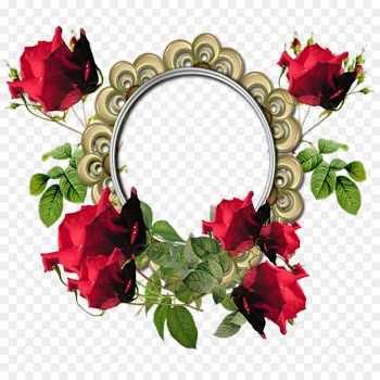 Flower Picture frame Download - Red Flower Frame PNG Photos 