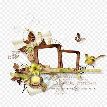 Flower Picture frame Photography - Decorative brown frame 