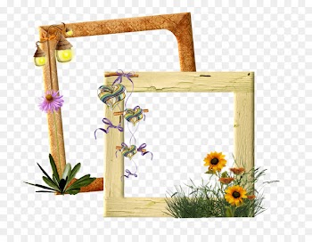 Flower Picture Frames Floral design promenade du Peyrou Meteorology - jungle frame 