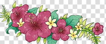 Flower, pink and yellow flowers in bloom transparent background PNG clipart