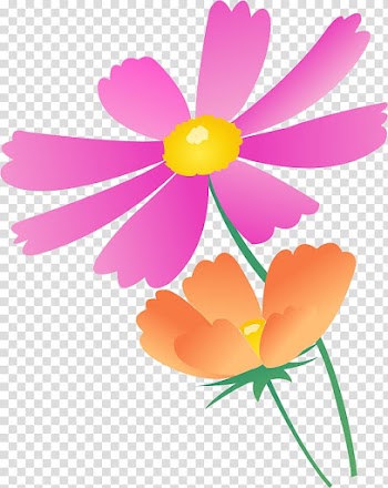 Flower Pink Color Petal, flower transparent background PNG clipart