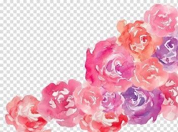 Flower Pink Garden roses Floral design, watercolor rose transparent background PNG clipart