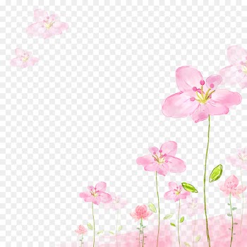 Flower Pink Petal - Japanese small fresh pink flower 