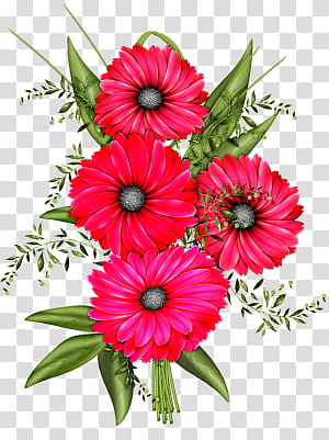 Flower, pink petaled flower illustration transparent background PNG clipart