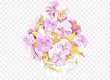 flower pink plant cut flowers petal