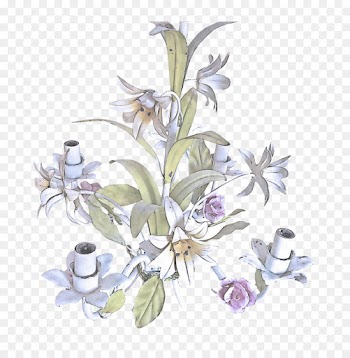flower plant flowering plant lily delphinium