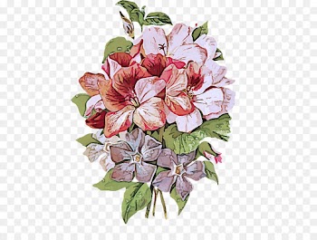 flower plant flowering plant petal bouquet