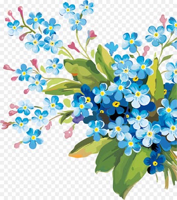flower plant forget-me-not branch flowering plant