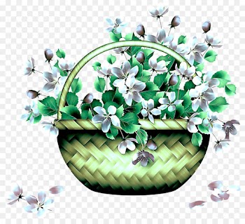 flower plant hair accessory fashion accessory wildflower