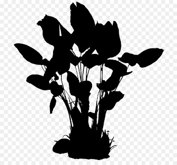 Flower Plant stem Clip art Leaf Silhouette -  