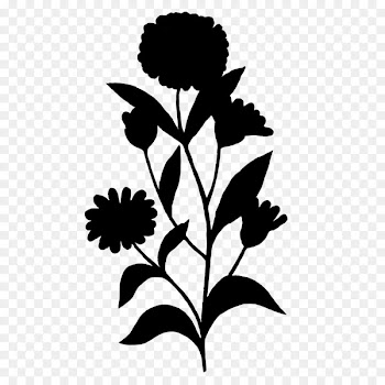 Flower Plant stem Leaf Clip art Desktop Wallpaper -  
