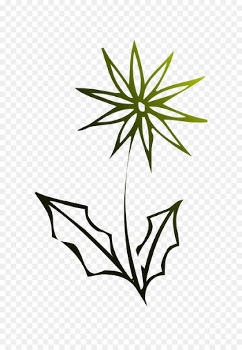 Flower Plant stem Leaf Clip art Line -  