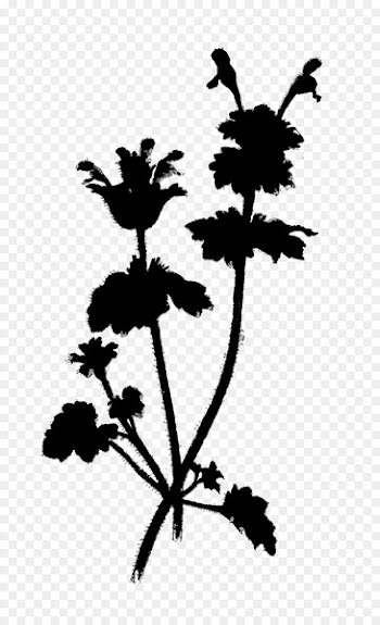 Flower Plant stem Leaf Clip art Silhouette -  