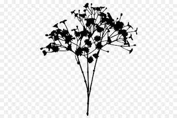 Flower Plant stem Leaf Font Line -  