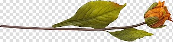 Flower Plant stem Song LiveInternet Pollen, branches and leaves transparent background PNG clipart