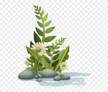 Flower, Plant, Tropical, Nature, Garden, Summer, Floral - Plants Clipart Png