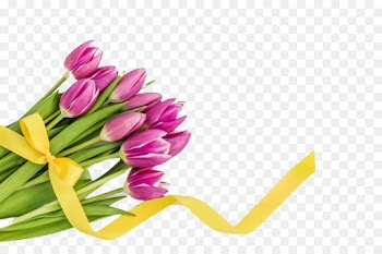 flower plant yellow cut flowers purple