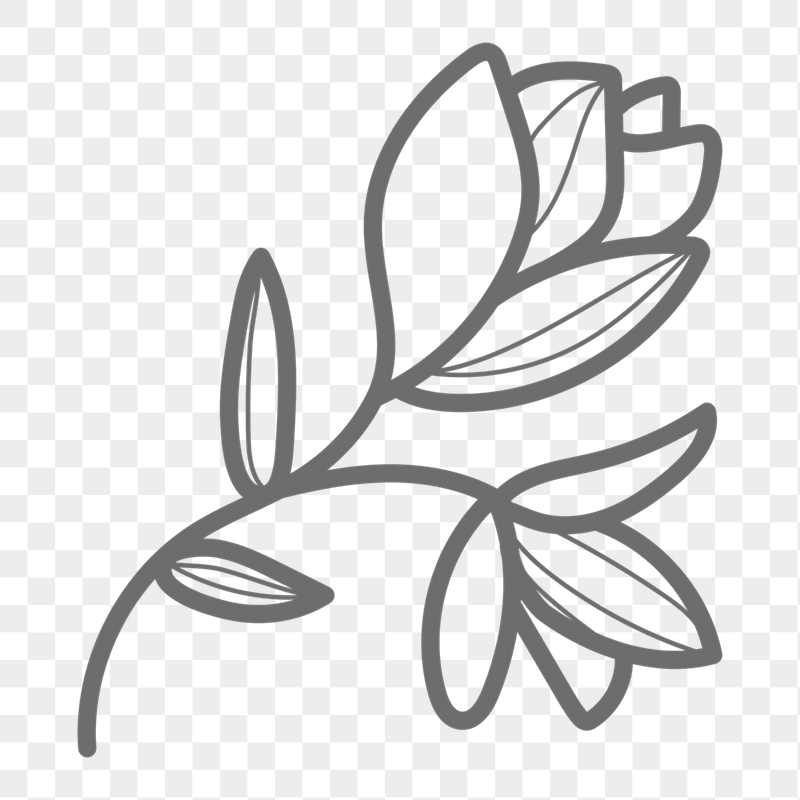 Flower png doodle sticker, transparent | Free PNG - rawpixel