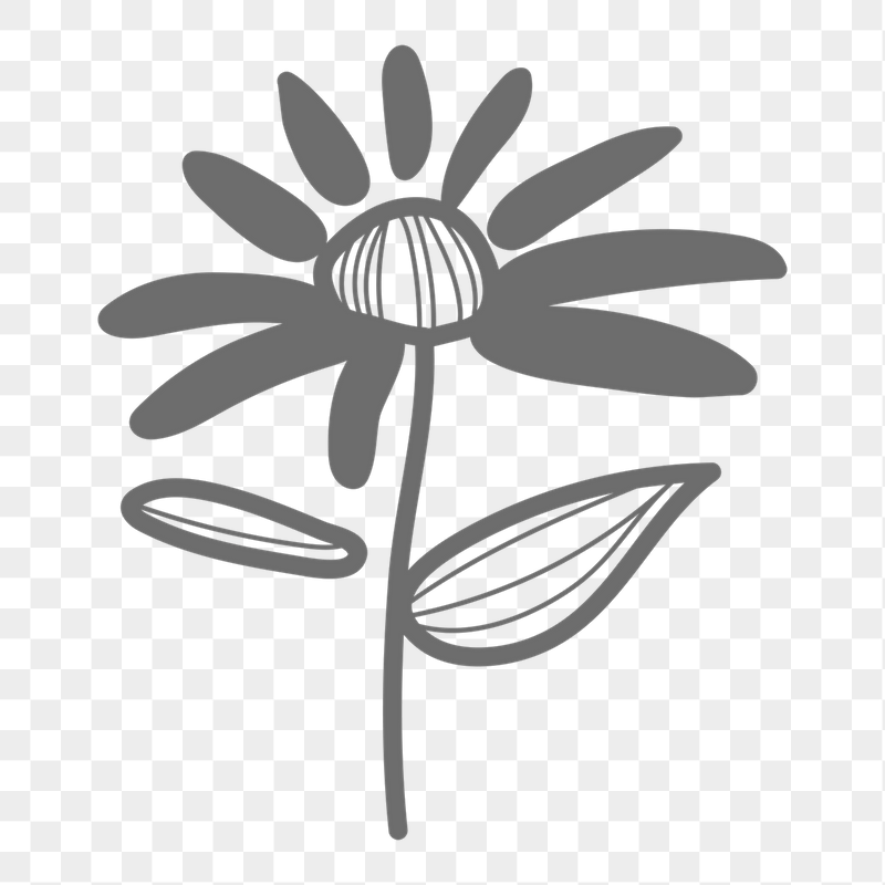 Flower png doodle sticker, transparent | Free PNG - rawpixel