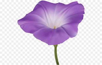flower png download - 600*578 - Free Transparent Japanese Morning ...