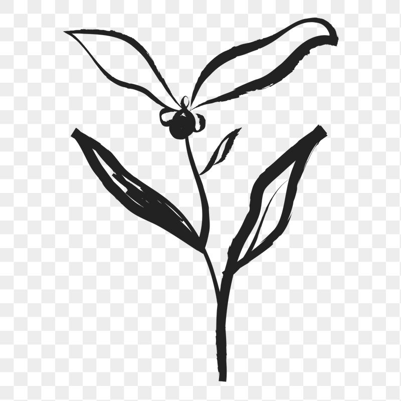 Flower png sticker, cute doodle | Free PNG Illustration - rawpixel