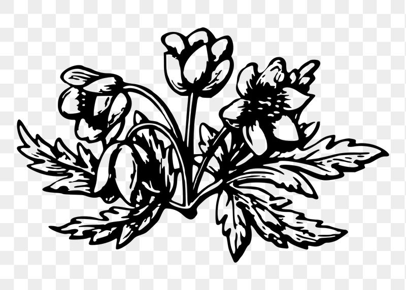 Flower png sticker illustration, transparent | Free PNG - rawpixel