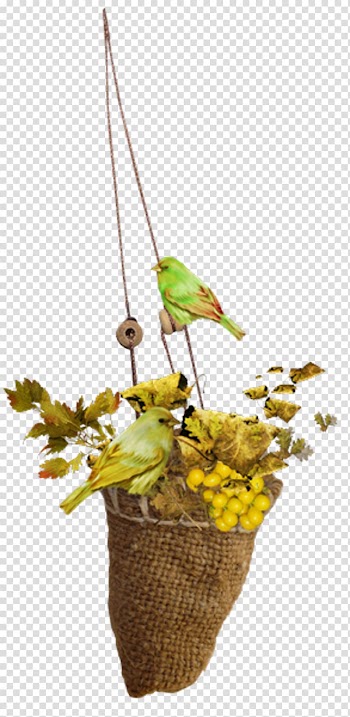 Flower Portable Network Graphics Centerblog Autumn, flower transparent background PNG clipart