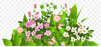Flower Portable Network Graphics Clip art Floral design Image - slice badge 