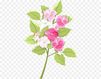 Flower Portable Network Graphics Image Clip art Petal - flower 