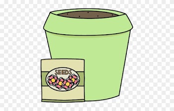 Flower Pot With Seeds - Flower Pot With Seeds