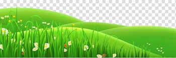Flower Prairie , Grass Field transparent background PNG clipart