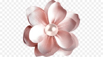 Flower preservation Japan Colorful - others 