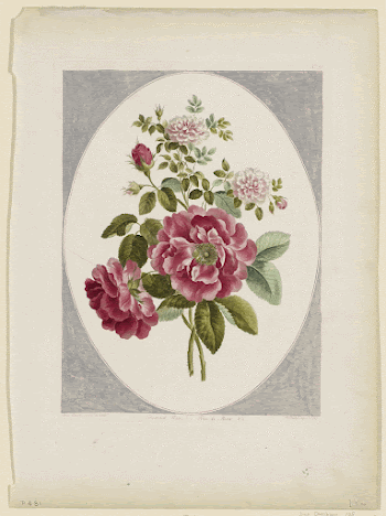 Flower Print No. 21: Damask | Free Photo - rawpixel