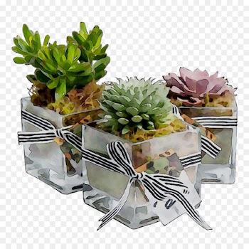 Flower Product -  