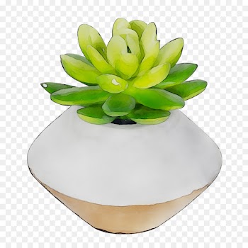 Flower Product design -  