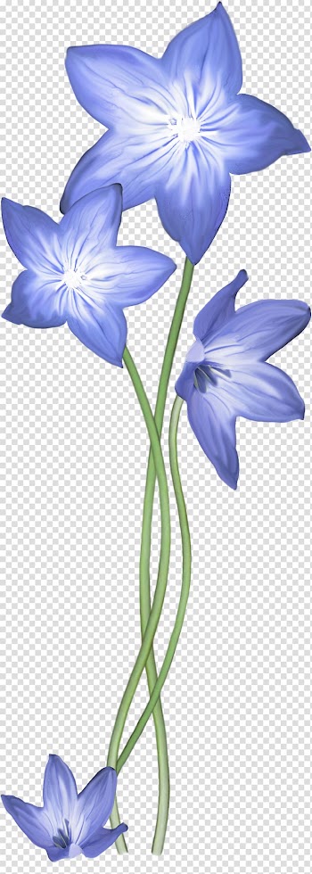 Flower Purple Violet , watercolor flower purple transparent background PNG clipart