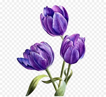 Flower Purple - Watercolor flowers 