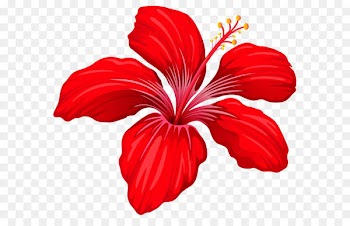Flower Red Clip art - Exotic Red Flower PNG Image 